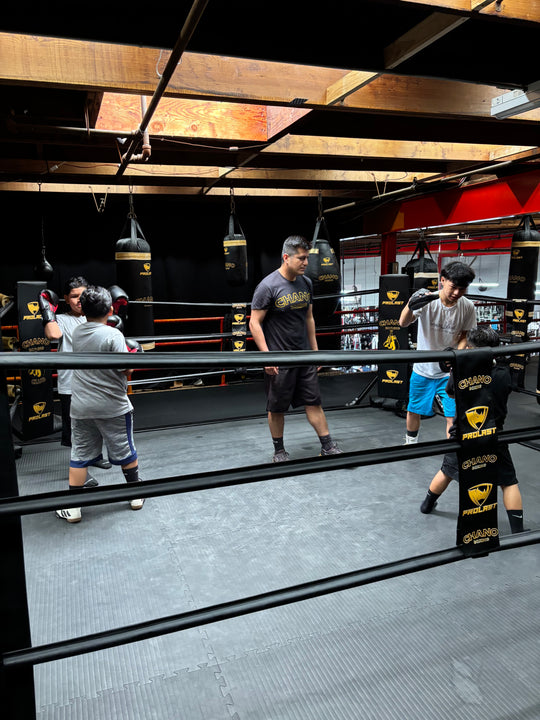 Youth Boxing Class Membership